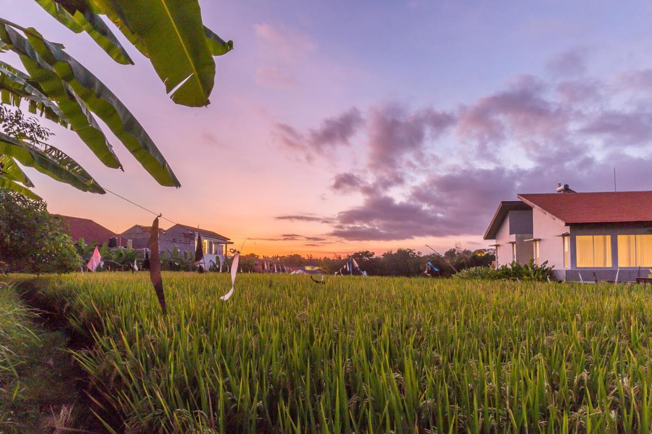 Charming Ricefield View 3 Bedrooms Villa Canggu Exteriör bild
